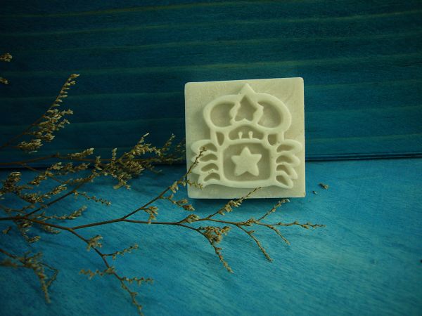 100-16樹脂皂章 巨蟹座