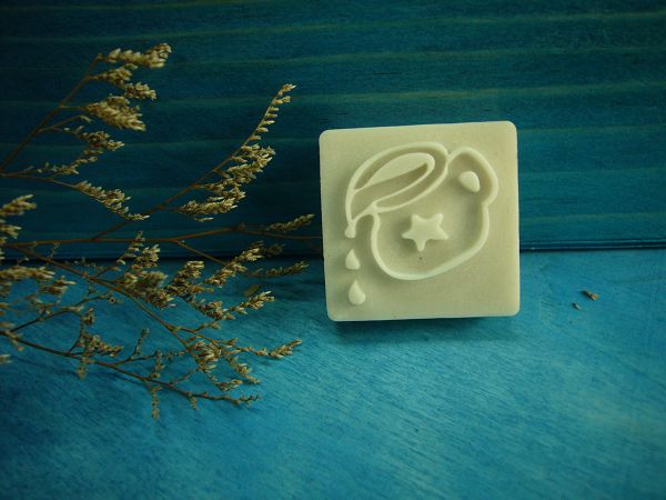 100-12樹脂皂章 水瓶座