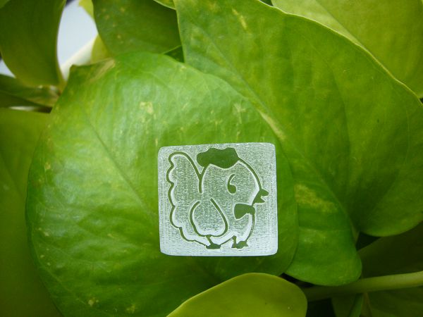 迷你皂章2-31   雞*1