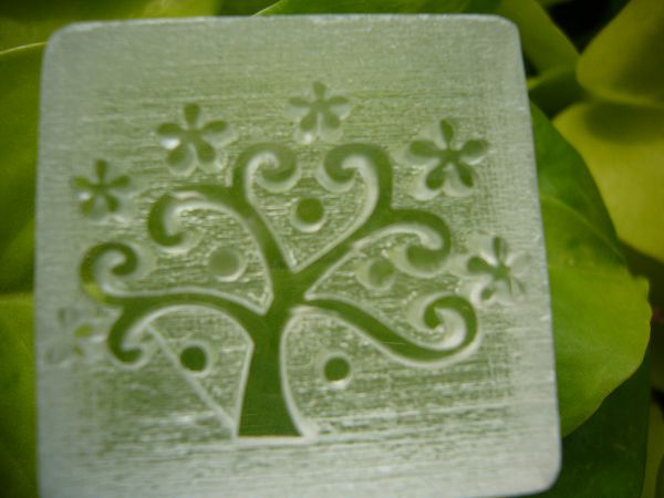 壓克力章-5 願景樹3顆*1....代購