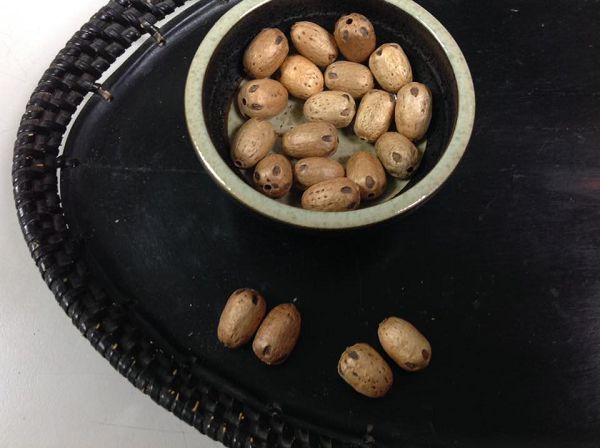 菩提子-3 五眼六通菩提子(5入有孔)*1